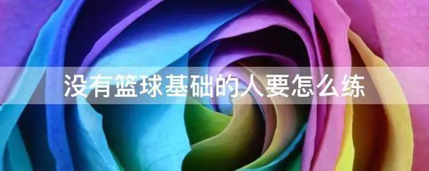哪里能找到最新的篮球训练和发展策略_1